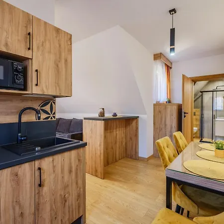 Tatra Sky Centrum Bed & Breakfast Zakopane