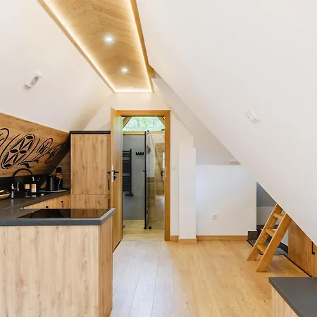 Bed & Breakfast Tatra Sky Centrum Zakopane